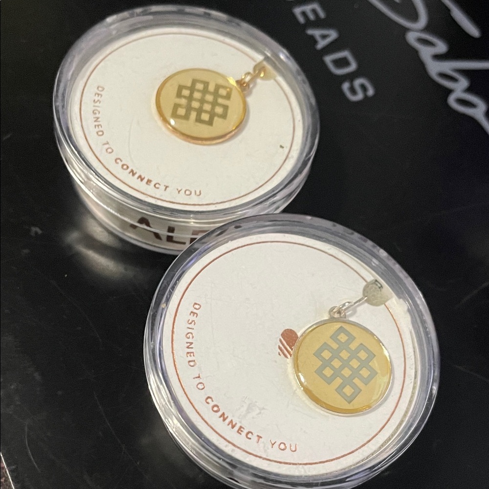 2 Alex and Ani Gold-Tone Charms in Original containers
